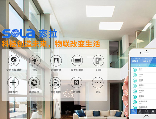 第十三屆全國人大指出“發(fā)展智能產(chǎn)業(yè)，拓展智能生活”